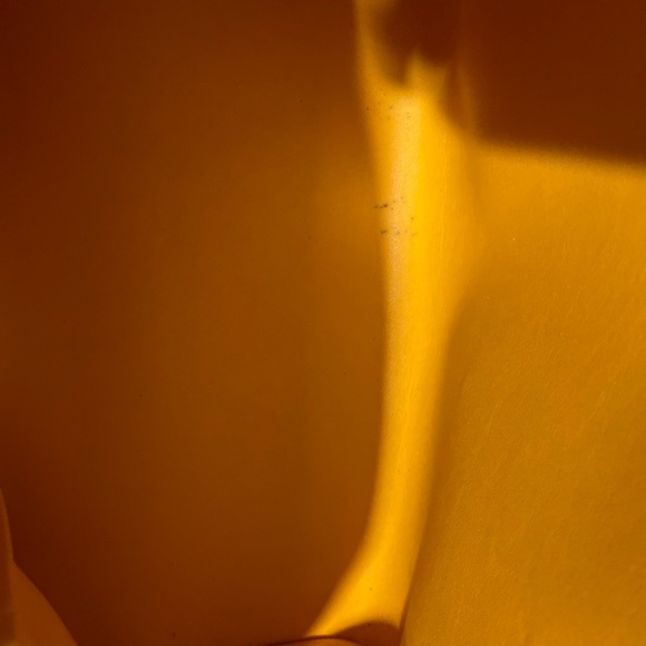 Custom painted Authentic Louis Vuitton Vernis Bag - Picture 12 of 16